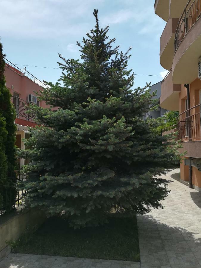 Hotel Dalia Nesebar Buitenkant foto
